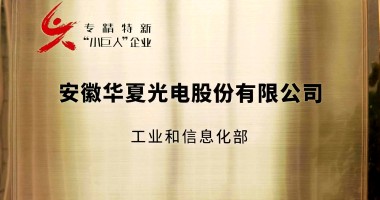 關(guān)于公司2025年專精特新“小巨人”復(fù)核通過的公告